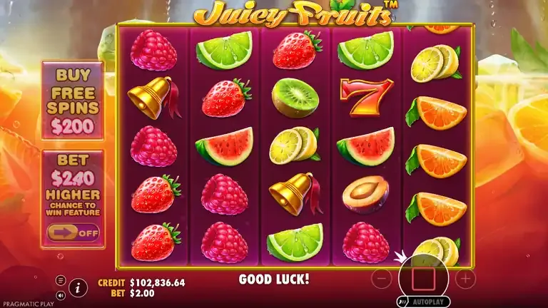 Juicy Fruits base game board at the session close, balance 102,836.64