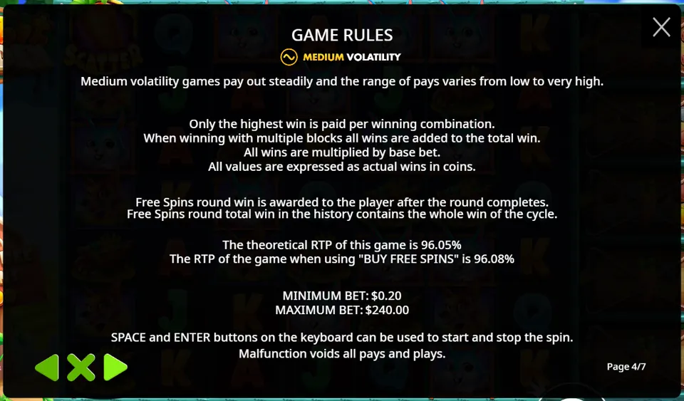Rabbit Garden rules screen page 4 of 7: medium volatility badge, win rules, theoretical RTP 96.05% and 96.08% with buy, bet limits